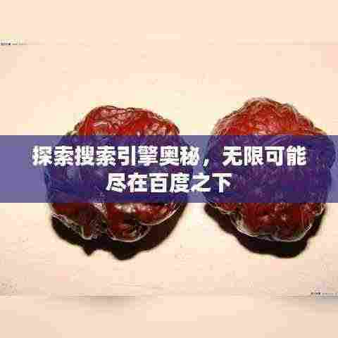探索搜索引擎奥秘，无限可能尽在百度之下