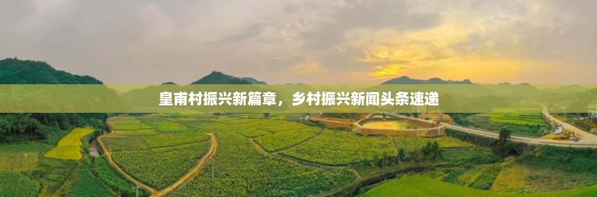 皇甫村振兴新篇章，乡村振兴新闻头条速递