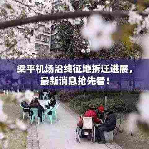 梁平机场沿线征地拆迁进展,最新消息抢先看!