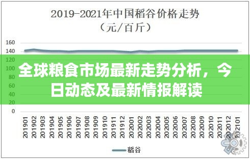 全球粮食市场最新走势分析，今日动态及最新情报解读
