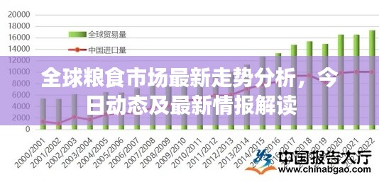 全球粮食市场最新走势分析,今日动态及最新情报解读