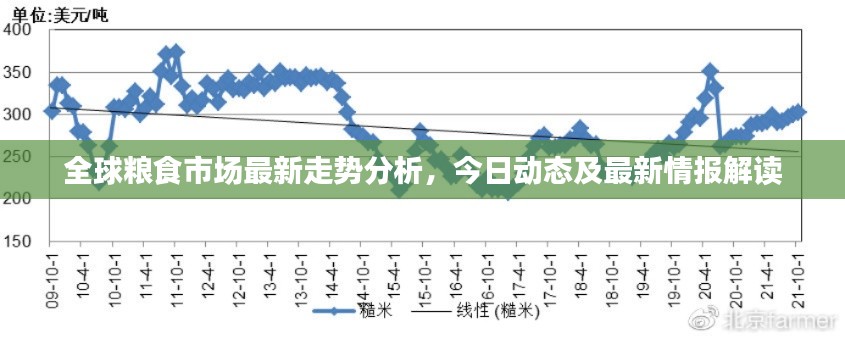 全球粮食市场最新走势分析,今日动态及最新情报解读