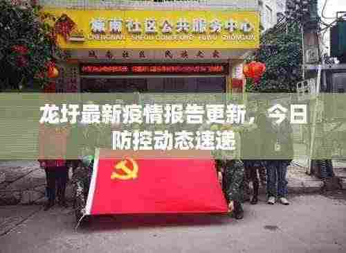 龙圩最新疫情报告更新，今日防控动态速递