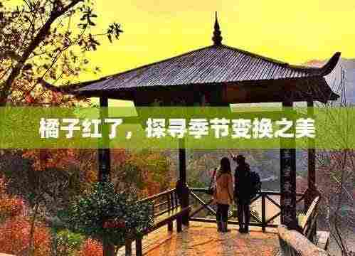 橘子红了,探寻季节变换之美