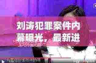 刘涛犯罪案件内幕曝光，最新进展引人关注