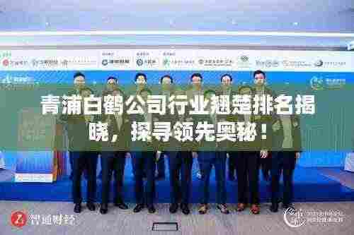 青浦白鹤公司行业翘楚排名揭晓,探寻领先奥秘!