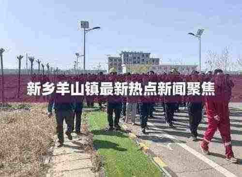 新乡羊山镇最新热点新闻聚焦