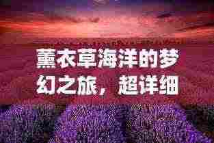 薰衣草海洋的梦幻之旅,超详细攻略指南