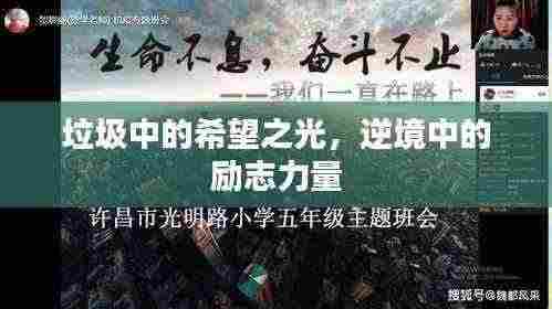 垃圾中的希望之光,逆境中的励志力量