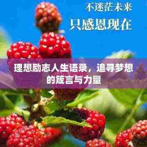 理想励志人生语录,追寻梦想的箴言与力量