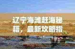 辽宁海滩赶海秘籍，最新攻略指南来啦！