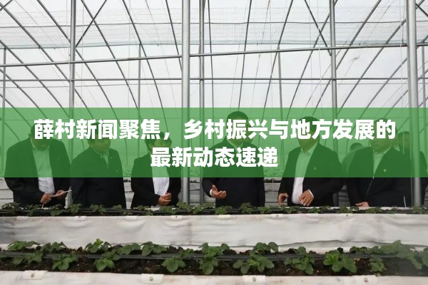 薛村新闻聚焦,乡村振兴与地方发展的最新动态速递