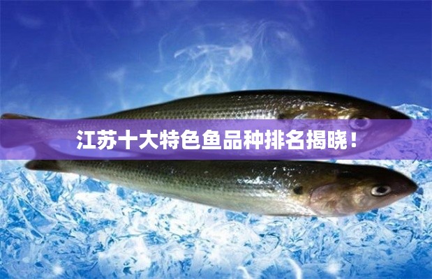 江苏十大特色鱼品种排名揭晓!