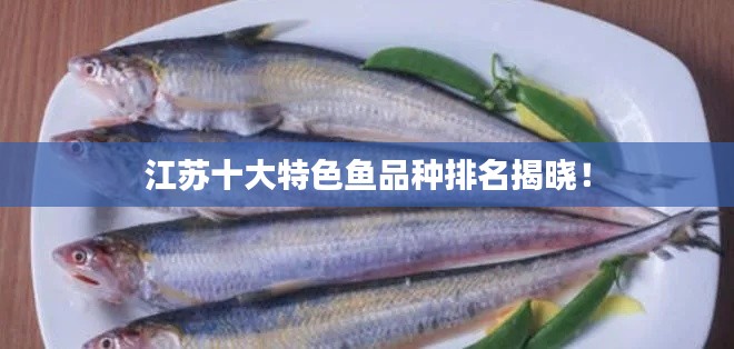 江苏十大特色鱼品种排名揭晓!