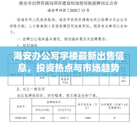 海安办公写字楼最新出售信息,投资热点与市场趋势分析