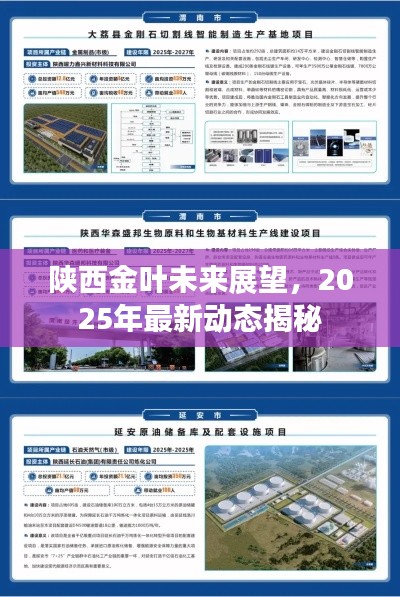 陕西金叶未来展望,2025年最新动态揭秘