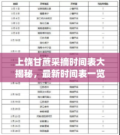 上饶甘蔗采摘时间表大揭秘,最新时间表一览无余