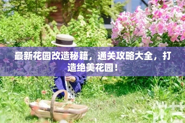 最新花园改造秘籍,通关攻略大全,打造绝美花园!