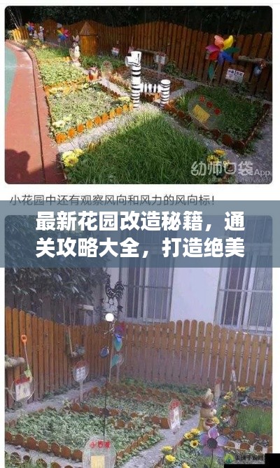 最新花园改造秘籍,通关攻略大全,打造绝美花园!