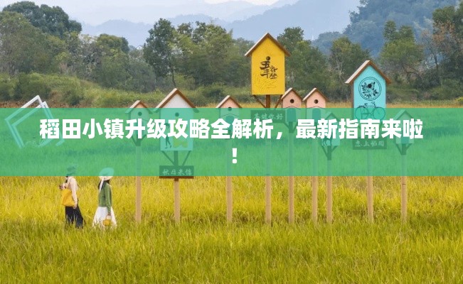稻田小镇升级攻略全解析,最新指南来啦!